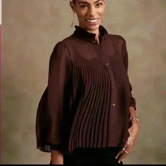 Banana Republic Chiffon Pleated Blouse - Picture 2 of 12